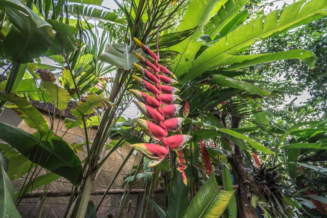 Tegar Guest House Ubud Extérieur photo