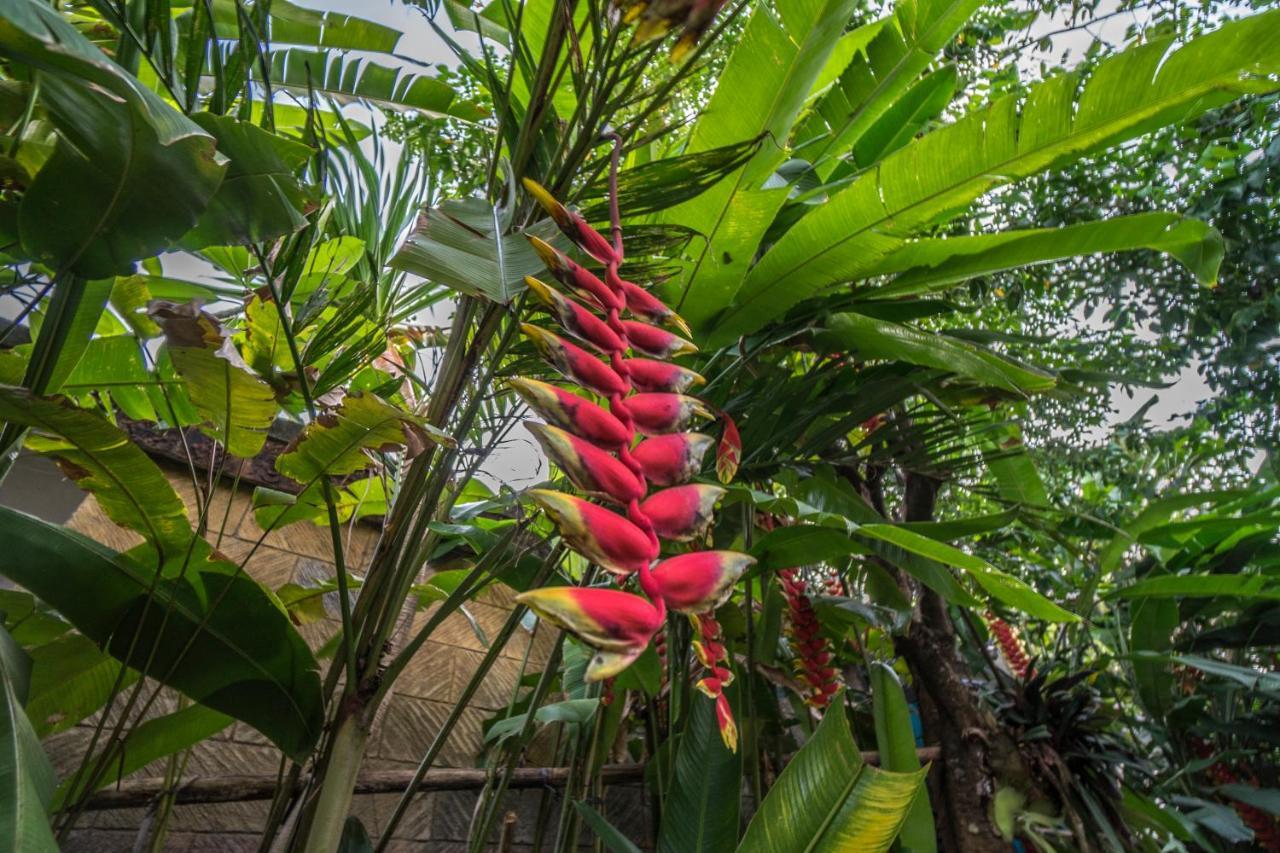 Tegar Guest House Ubud Extérieur photo